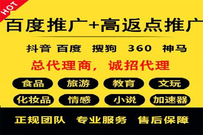 百度SEO推广公司案例剖析：助力企业提升排名